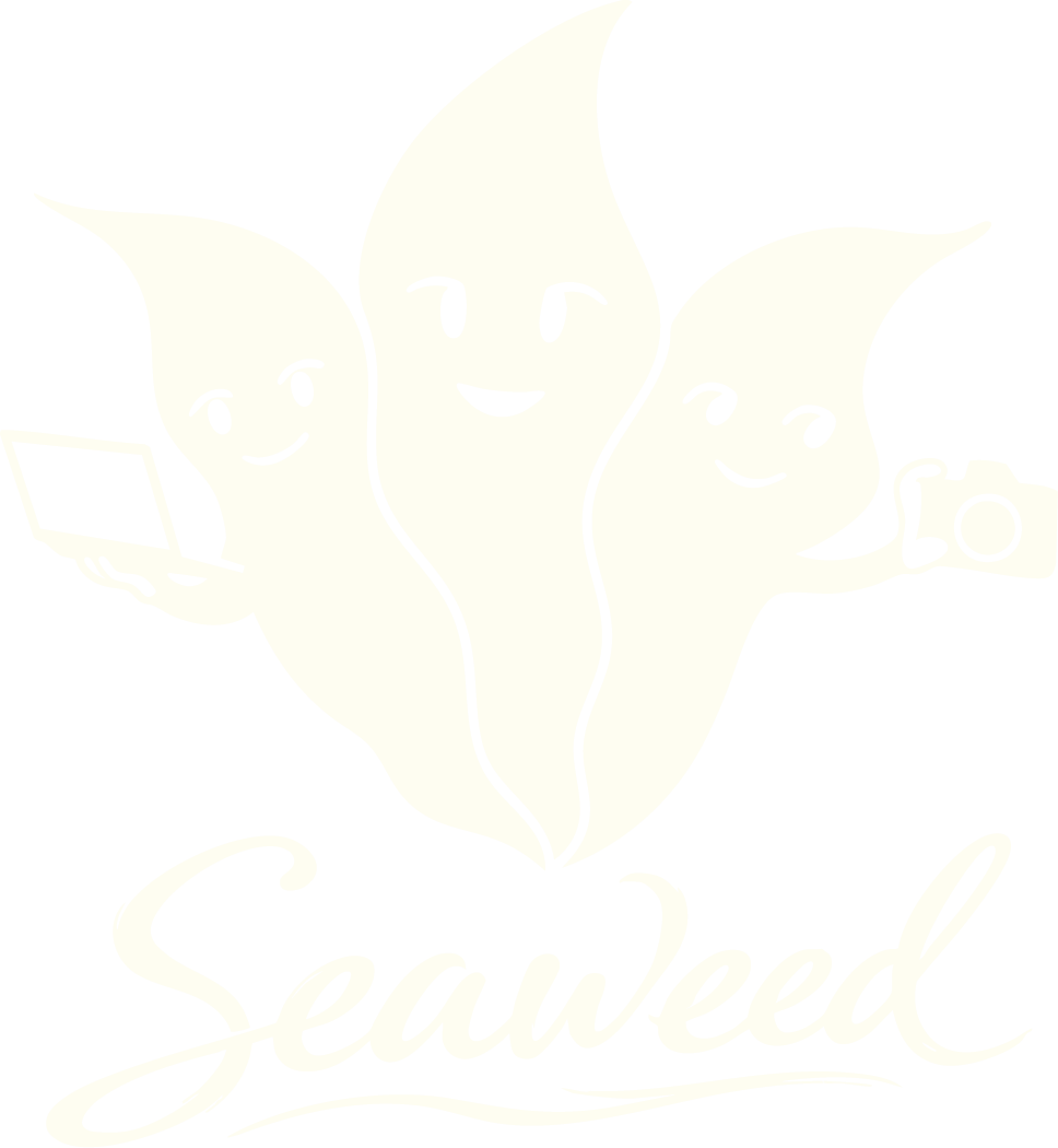 Seaweed